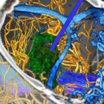 No.446　モニタリング