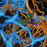 No.450　モニタリング